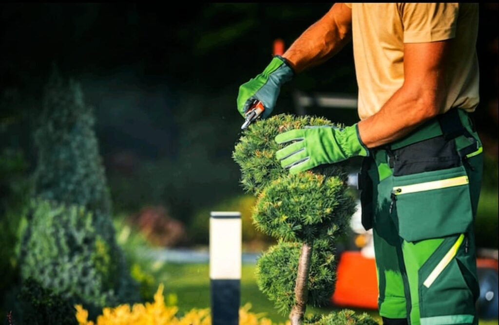 landscaping