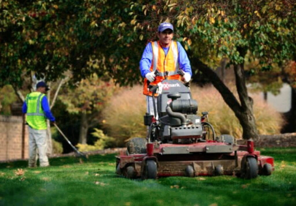 Landscaping Services in Edmonton